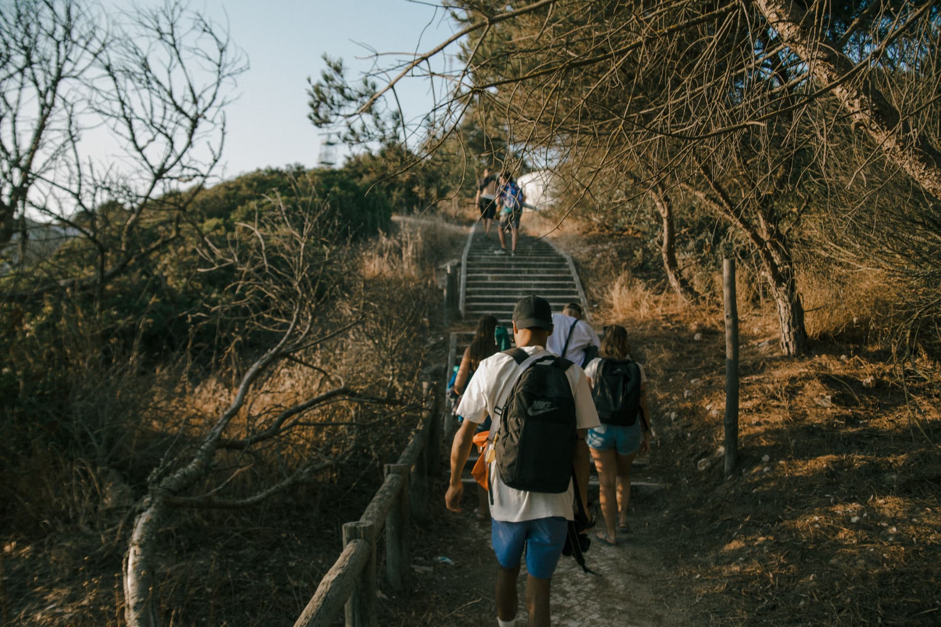Group walking up stone steps on a sunlit hiking trail